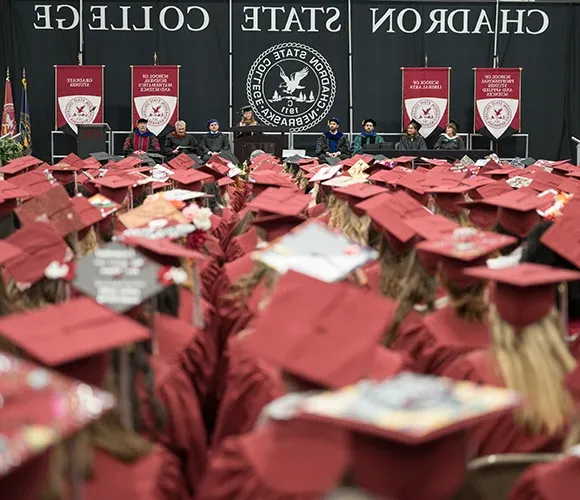 Large group of graduates in caps and gowns